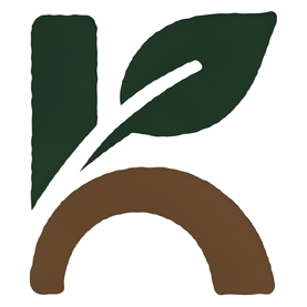 Kelp